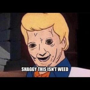 Meet your Posher, Lance